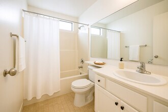 4248 Whitsett Ave in Studio City, CA - Building Photo - Building Photo