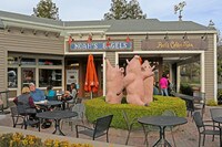 Outer Davis