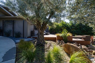 3624 Alta Vista Ave in Santa Rosa, CA - Building Photo - Building Photo