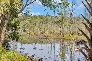 6343 Ortega Farms Blvd in Jacksonville, FL - Building Photo