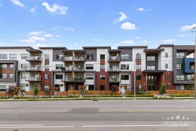 20286-2072B 72B Ave in Langley, BC - Building Photo - Building Photo