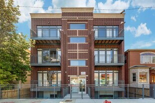 1149 W 17th St in Chicago, IL - Building Photo