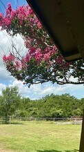 122 Don Propp Rd in Azle, TX - Building Photo - Building Photo