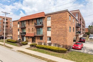 463 Alles St in Des Plaines, IL - Building Photo