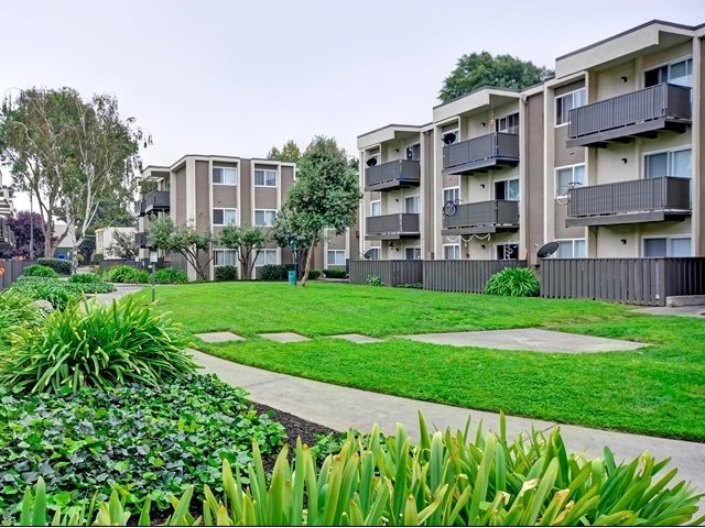 Turnleaf Apartments in San Jose, CA - Building Photo - Building Photo