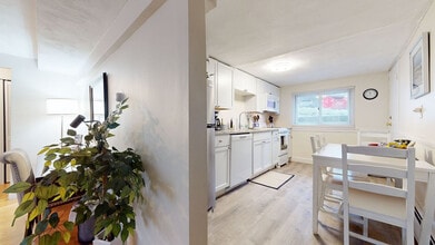 79 Chestnut St in Brookline, MA - Foto de edificio - Building Photo