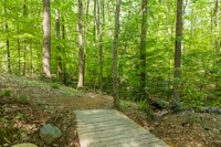 Apartments in Dunwoody, GA