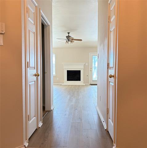 8301 Juliette Dr in McKinney, TX - Building Photo - Building Photo