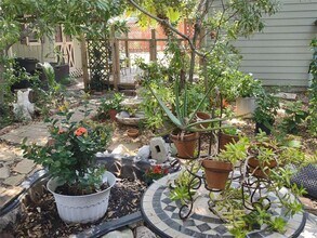 3127 Avenue Q in Galveston, TX - Building Photo - Building Photo