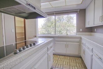 6052 Pat Ave in Los Angeles, CA - Building Photo - Building Photo