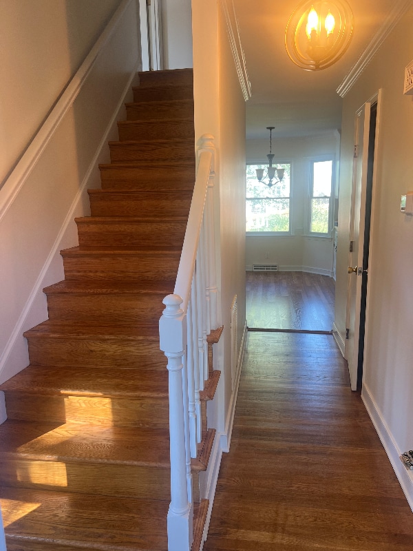 11906 Exbury Terrace in Midlothian, VA - Building Photo - Building Photo