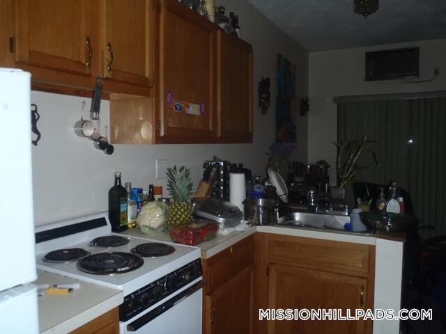 16 Wait St, Unit 3R in Roxbury Crossing, MA - Building Photo - Building Photo