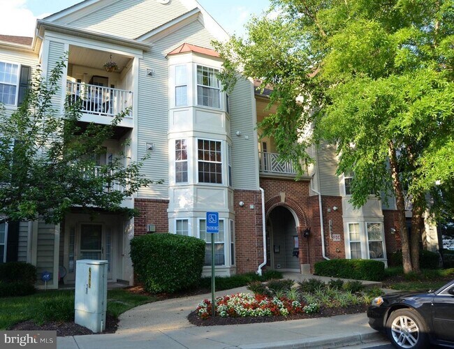 18805 Sparkling Water Dr Rentals in Germantown, MD