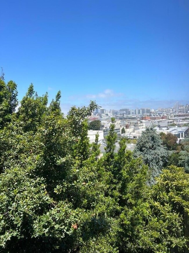 426 Arkansas St in San Francisco, CA - Building Photo - Building Photo