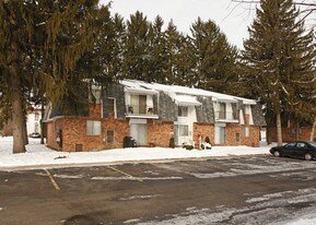 220 Park St in Pinckney, MI - Building Photo