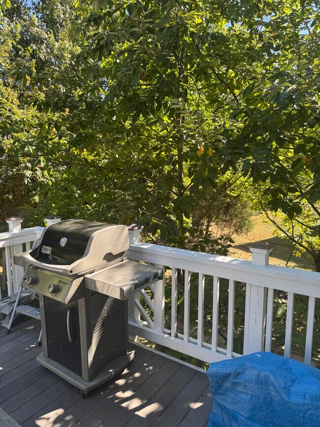 24794 Serpentine Pl in Stone Ridge, VA - Building Photo - Building Photo