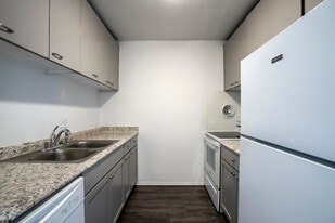 1305 S Congress St in Ypsilanti, MI - Building Photo