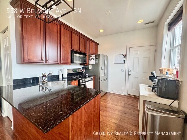 538 W Belmont Ave in Chicago, IL - Building Photo - Building Photo