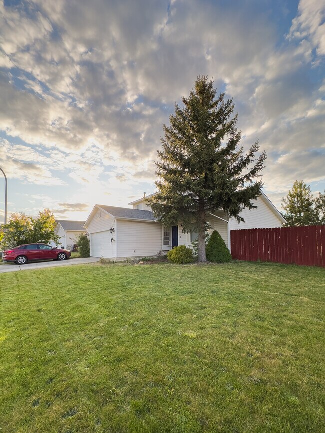 370 NW Terre View Dr in Pullman, WA - Building Photo - Building Photo
