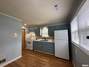 202 N State St in Springfield, IL - Building Photo - Building Photo