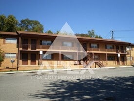 1221 W Parkway Ave in Knoxville, TN - Building Photo