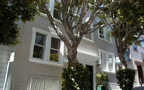 152 Pfeiffer St in San Francisco, CA - Building Photo - Building Photo