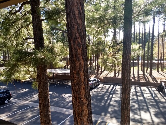 1385 W University Ave in Flagstaff, AZ - Building Photo - Building Photo