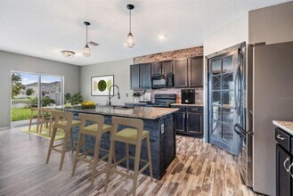 30907 Summer Sun Lp in Wesley Chapel, FL - Building Photo - Building Photo