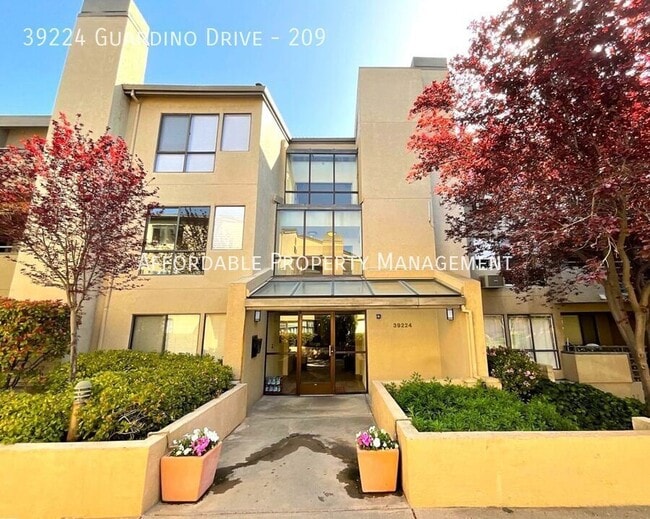 property at 39224 Guardino Dr