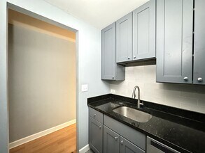 663 W Grace St in Chicago, IL - Foto de edificio - Building Photo