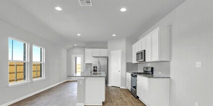 480 Globe Mallow Cir in Niederwald, TX - Building Photo - Building Photo