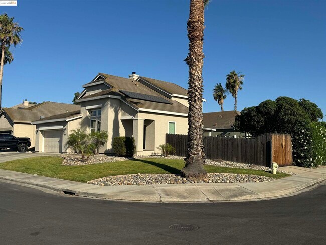 4507 Cove Ln in Discovery Bay, CA - Building Photo - Building Photo