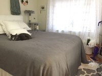 1039 Commonwealth Avenue - 6