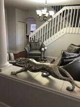 15978 SW 148th Terrace in Miami, FL - Building Photo - Building Photo