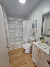 8114 N 11th St in Tampa, FL - Building Photo - Building Photo