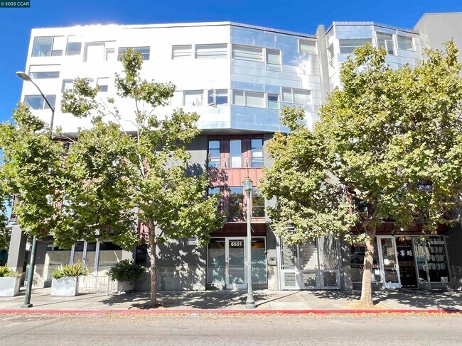 6501 San Pablo Ave in Oakland, CA - Building Photo - Building Photo