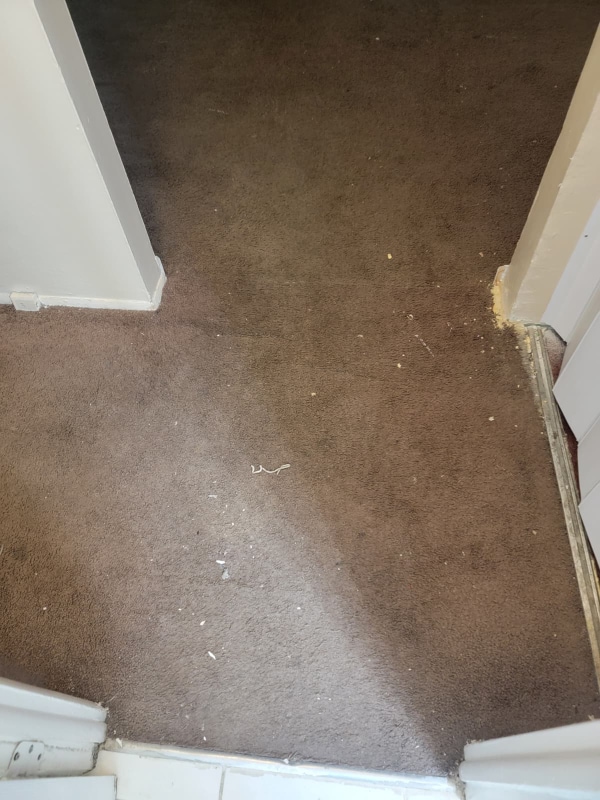 13540 Superior Rd in East Cleveland, OH - Foto de edificio - Building Photo