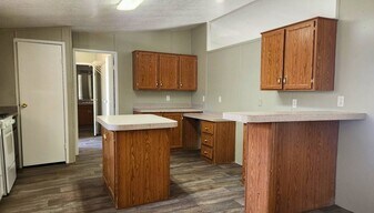 30403 Red Adler Cir in Magnolia, TX - Building Photo