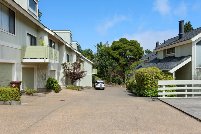 410 Shoreline Hwy in Mill Valley, CA - Building Photo - Building Photo