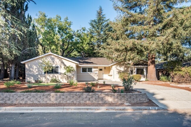15501 Corinne Dr in Los Gatos, CA - Building Photo - Building Photo