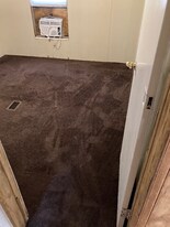 20504 Spanish Ln in Land O Lakes, FL - Building Photo