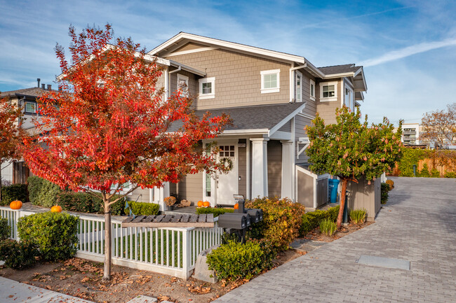 1805 Gum St in San Mateo, CA - Foto de edificio - Building Photo