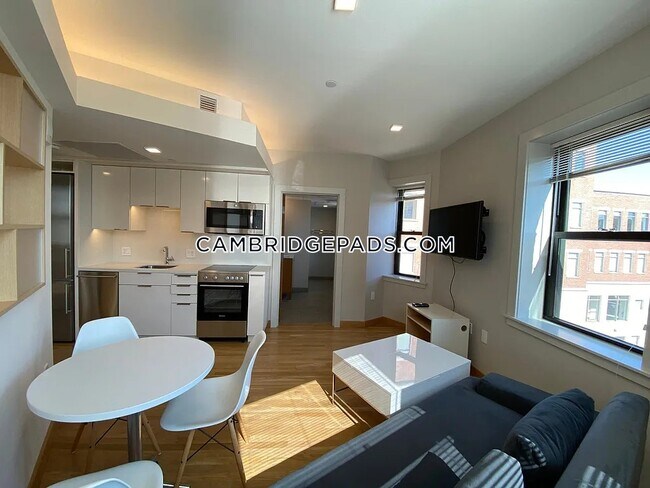 property at 115 Mt Auburn St