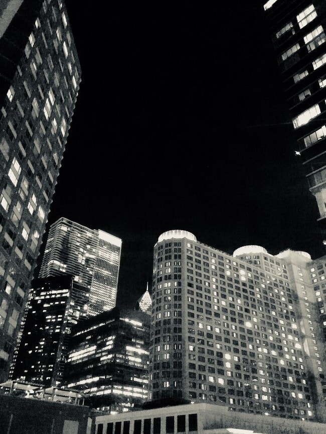 440 N McClurg Ct in Chicago, IL - Building Photo - Building Photo
