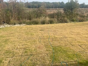 256 Blue Vly Ct in Columbia, SC - Foto de edificio - Building Photo