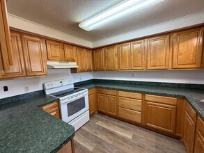 3004 F M Jones Dr in Lithia, FL - Building Photo - Building Photo