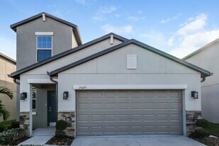 15425 Broad Brush Dr in Sun City Center, FL - Building Photo