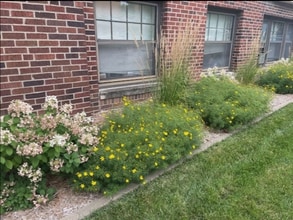 The Brady Apartments in Des Moines, IA - Foto de edificio - Building Photo