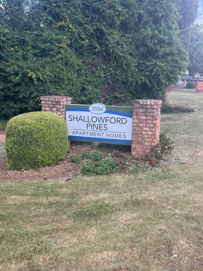 Shallowford Pines