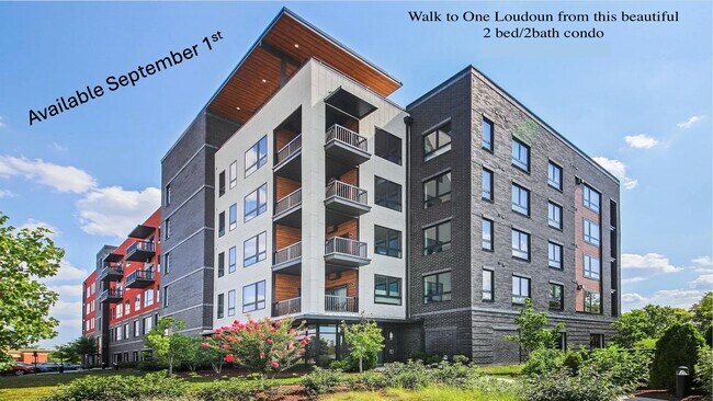 property at 44691 Wellfleet Dr